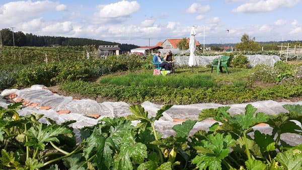 SoLaWi Bad Grönenbach SoLaWi Bad Grönenbach